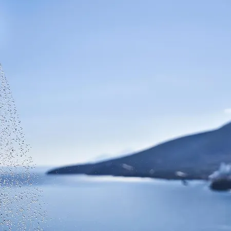 Shades Of Blue * 卡西罗彼卡多