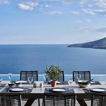Shades Of Blue زيروبيغادو