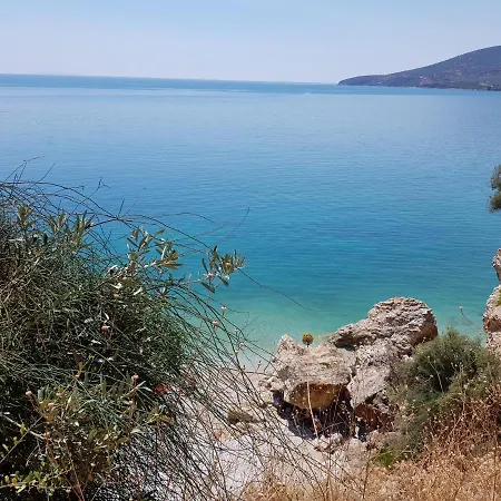 Shades Of Blue * زيروبيغادو
