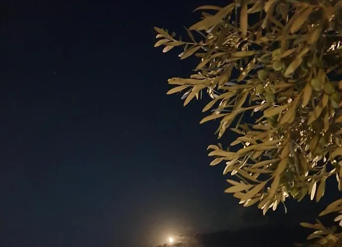 Shades Of Blue Вилла